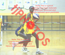 Load image into Gallery viewer, Anok Noi Wyndham VJBL 2026a Game Photo Catalogue