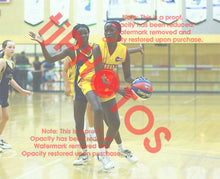Load image into Gallery viewer, Anok Noi Wyndham VJBL 2026a Game Photo Catalogue