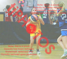 Load image into Gallery viewer, Maddison Hubinsky Wyndham VJBL 2026 Game Photo Catalogue