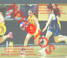 Load image into Gallery viewer, Maddison Hubinsky Wyndham VJBL 2026 Game Photo Catalogue