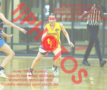 Load image into Gallery viewer, Maddison Hubinsky Wyndham VJBL 2026 Game Photo Catalogue