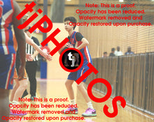 Load image into Gallery viewer, Akul Morisetty Iramoo Winter 2025 Game Photo Catalogue