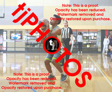 Load image into Gallery viewer, Felix Thomas Truganina South Winter 2025 Game Photo Catalogue