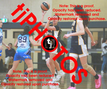 Load image into Gallery viewer, Josephine Gribbin Cambridge Winter 2025 Game Photo Catalogue