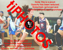 Load image into Gallery viewer, Josephine Gribbin Cambridge Winter 2025 Game Photo Catalogue