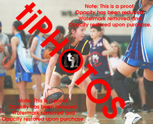 Load image into Gallery viewer, Josephine Gribbin Cambridge Winter 2025 Game Photo Catalogue