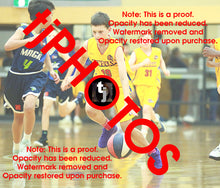 Load image into Gallery viewer, Patrick Child Wyndham 2025 Game Photo Catalogue