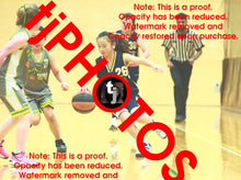 Load image into Gallery viewer, Karen Liu Cambridge Winter 2025 Game Photo Catalogue