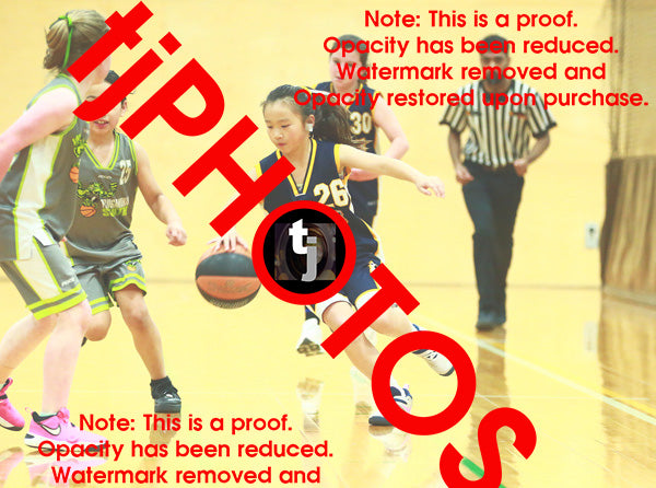 Karen Liu Cambridge Winter 2025 Game Photo Catalogue