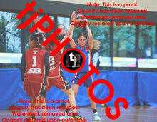 Load image into Gallery viewer, Ataakura Puketapu-Harmer Iramoo Winter 2025 Game Photo Catalogue