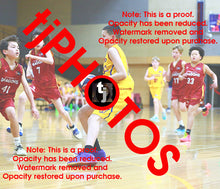 Load image into Gallery viewer, Patrick Child Wyndham 2025 Game Photo Catalogue