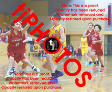 Load image into Gallery viewer, Patrick Child Wyndham 2025 Game Photo Catalogue