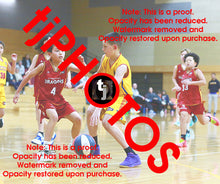 Load image into Gallery viewer, Patrick Child Wyndham 2025 Game Photo Catalogue