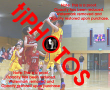 Load image into Gallery viewer, Patrick Child Wyndham 2025 Game Photo Catalogue