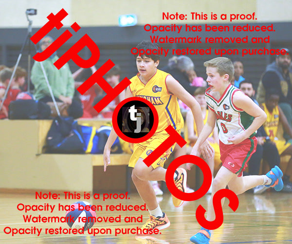 Draedyn Tuala Wyndham 2025 Game Photo Catalogue