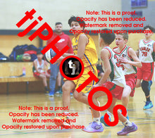 Load image into Gallery viewer, Draedyn Tuala Wyndham 2025 Game Photo Catalogue