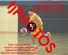 Load image into Gallery viewer, Draedyn Tuala Wyndham 2025 Game Photo Catalogue