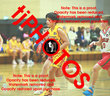 Load image into Gallery viewer, Draedyn Tuala Wyndham 2025 Game Photo Catalogue