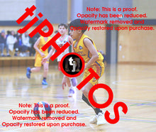 Load image into Gallery viewer, Adam Tebeileh Wyndham 2025 Game Photo Catalogue