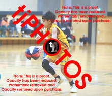 Load image into Gallery viewer, Adam Tebeileh Wyndham 2025 Game Photo Catalogue