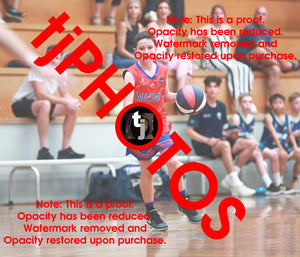 Fletcher Lamb Westgate U12B1 2025 Game Photo Catalogue