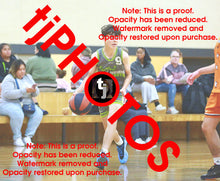 Load image into Gallery viewer, Oliver Probst Truganina South Winter 2025 Game Photo Catalogue