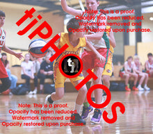 Load image into Gallery viewer, William MacCallum Wyndham 2025 Game Photo Catalogue