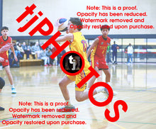 Load image into Gallery viewer, Chace Hall Wyndham 2025 Game Photo Catalogue
