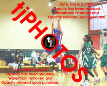 Load image into Gallery viewer, Mason Bretherton Iramoo Winter 2025 Game Photo Catalogue