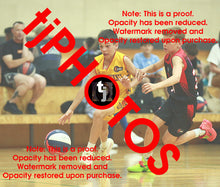 Load image into Gallery viewer, Harry Pisano Wyndham 2025 Game Photo Catalogue