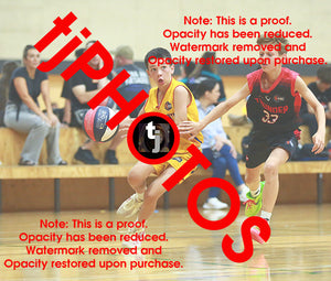 Harry Pisano Wyndham 2025 Game Photo Catalogue