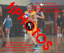 Load image into Gallery viewer, Mia Myers Wyndham 2025 Game Photo Catalogue