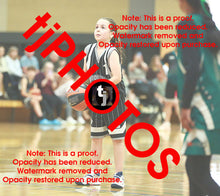 Load image into Gallery viewer, Dana Aidone Woodville Summer 2024-25 Game Photo Catalogue