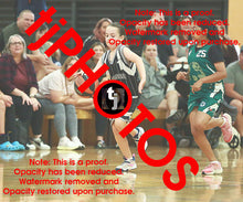 Load image into Gallery viewer, Dana Aidone Woodville Summer 2024-25 Game Photo Catalogue