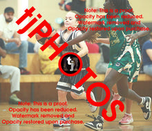 Load image into Gallery viewer, Dana Aidone Woodville Summer 2024-25 Game Photo Catalogue