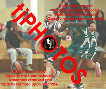 Load image into Gallery viewer, Dana Aidone Woodville Summer 2024-25 Game Photo Catalogue