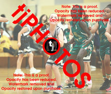 Load image into Gallery viewer, Dana Aidone Woodville Summer 2024-25 Game Photo Catalogue