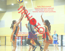 Load image into Gallery viewer, Aisha Perara Western Wildcats Summer 2025/26 Game Photo Catalogue