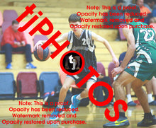 Load image into Gallery viewer, Jack Pisano Woodville Winter 2025 Game Photo Catalogue