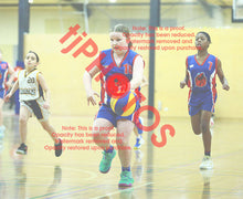 Load image into Gallery viewer, Charlie Borlase Iramoo Summer 2025/26 Game Photo Catalogue