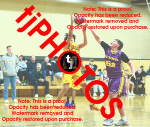 Draedyn Tuala Wyndham 2025 Game Photo Catalogue