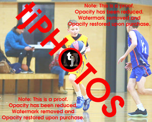 Alexander Ursu Wyndham 2025 Game Photo Catalogue