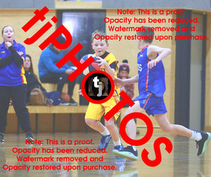 Alexander Ursu Wyndham 2025 Game Photo Catalogue