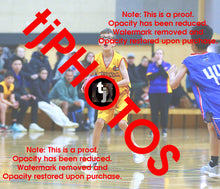 Load image into Gallery viewer, Mitchell Schwind Wyndham 2025 Game Photo Catalogue