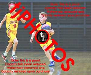 Alexander Ursu Wyndham 2025 Game Photo Catalogue