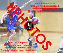 Load image into Gallery viewer, Alexander Ursu Wyndham 2025 Game Photo Catalogue