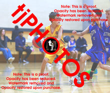 Load image into Gallery viewer, Mitchell Schwind Wyndham 2025 Game Photo Catalogue