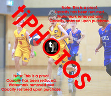 Load image into Gallery viewer, Mitchell Schwind Wyndham 2025 Game Photo Catalogue