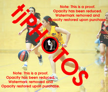Load image into Gallery viewer, April Hollingsworth Wyndham 2025 Game Photo Catalogue