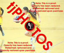 Load image into Gallery viewer, April Hollingsworth Wyndham 2025 Game Photo Catalogue